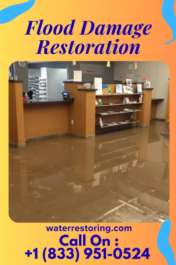Flood Damage Restoration in Sudley, VA