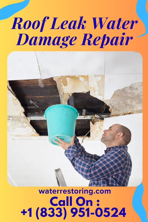 Roof Leak Water Damage Repair in Sudley, VA