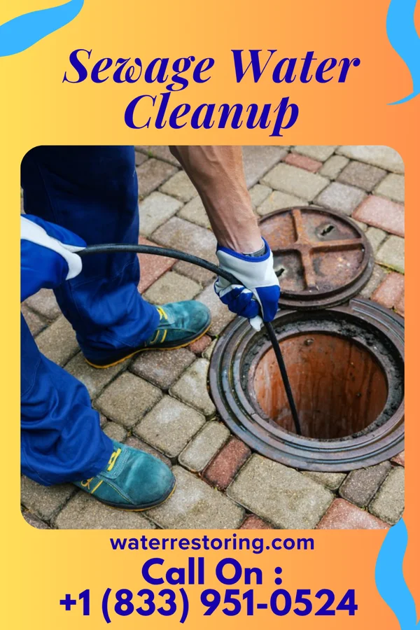 Sewage Water Cleanup in Sudley, VA